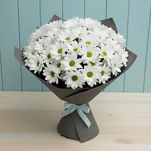 Букет цветов из:  Хризантемы #REPLACE_PRED# Югорёнке