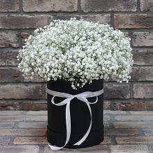 Цветочная композиция из Гипсофила в шляпной коробке #REPLACE_PRED# Югорёнке